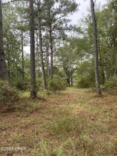 0 Earlston Rd, Graceville, FL 32440