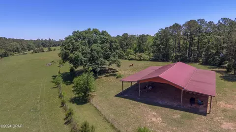 0 Harvey Carter Rd, Bonifay, FL 32425