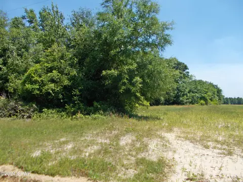 1 Ac Melon Ln, Grand Ridge, FL 32442