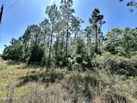 0 Parker Rd, Grand Ridge, FL 32442
