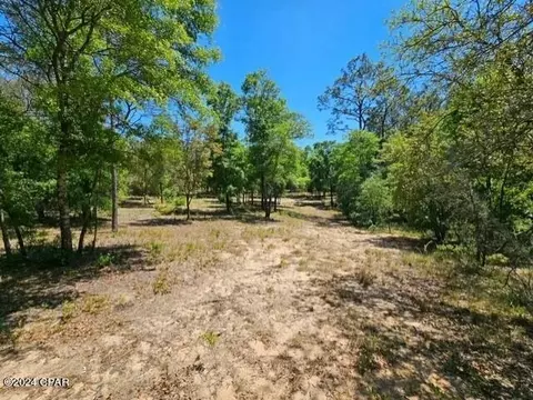 0 Moss Hill Rd, Chipley, FL 32428 photo 5