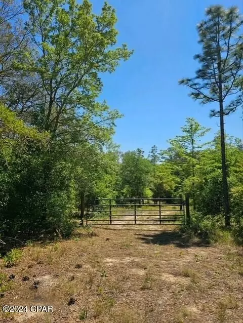 0 Moss Hill Rd, Chipley, FL 32428 photo 4