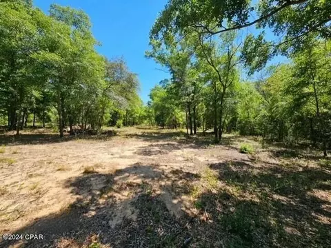 0 Moss Hill Rd, Chipley, FL 32428 photo 6