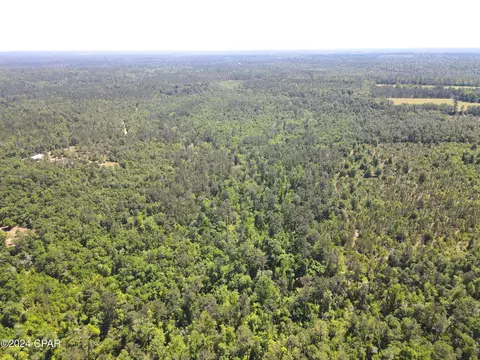 14596 NW Richard Hardy Rd, Bristol, FL 32321