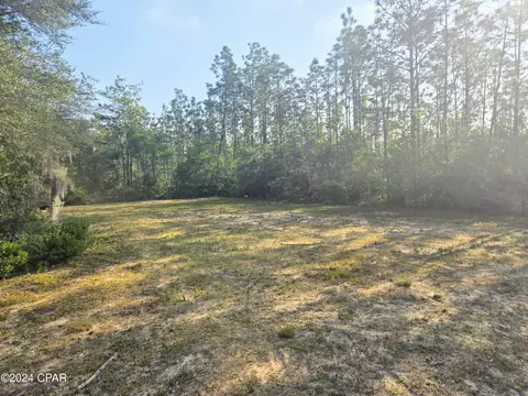 3559 Pine Log Rd, Chipley, FL 32428 photo 2