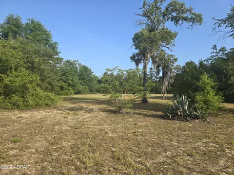 3559 Pine Log Rd, Chipley, FL 32428 photo 9