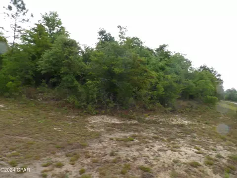 0 Valiant Dr, Chipley, FL 32428 photo 8