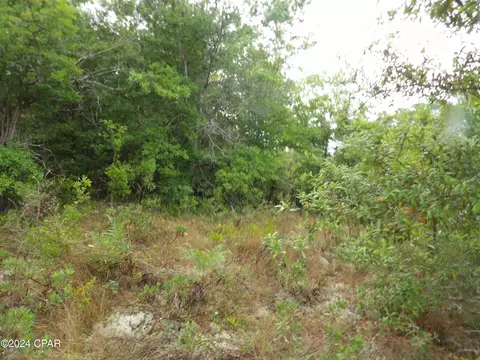 0 Valiant Dr, Chipley, FL 32428 photo 14