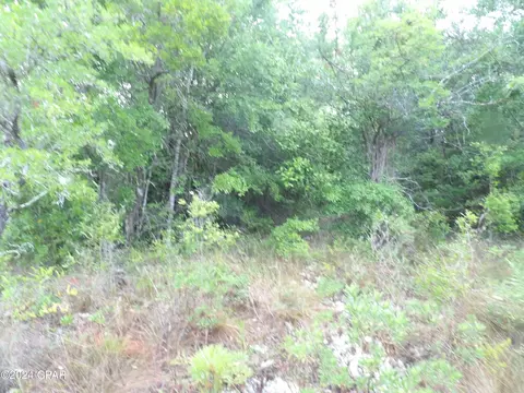 0 Valiant Dr, Chipley, FL 32428 photo 13
