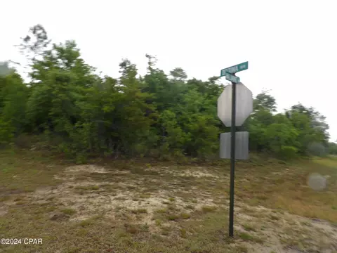 0 Valiant Dr, Chipley, FL 32428 photo 10
