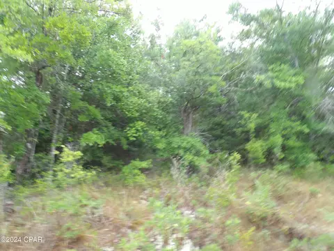 0 Valiant Dr, Chipley, FL 32428 photo 12