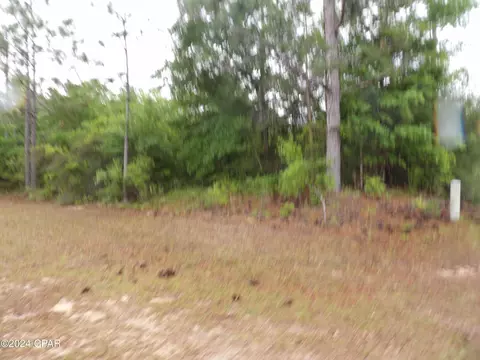 0 Valiant Dr, Chipley, FL 32428 photo 11