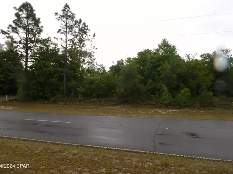 0 Valiant Dr, Chipley, FL 32428 photo 7
