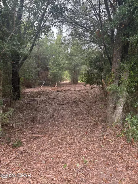 00 Highway 277, Chipley, FL 32428 photo 12