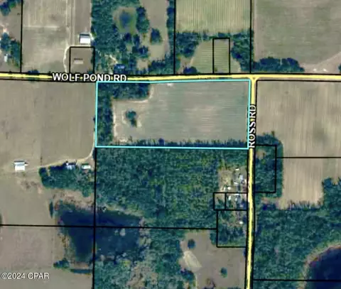 tbd Wolf Pond Rd, Bascom, FL 32423 photo 2