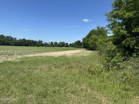 tbd Wolf Pond Rd, Bascom, FL 32423 photo 6