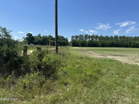 tbd Wolf Pond Rd, Bascom, FL 32423 photo 7