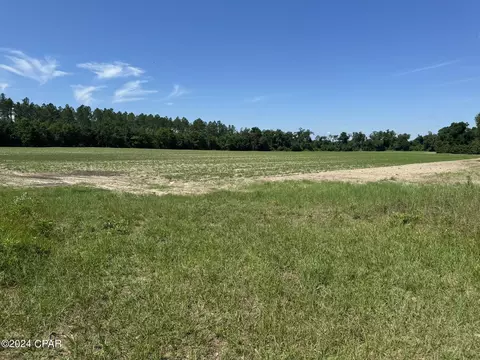 tbd Wolf Pond Rd, Bascom, FL 32423 photo 5