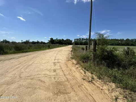 tbd Wolf Pond Rd, Bascom, FL 32423 photo 8