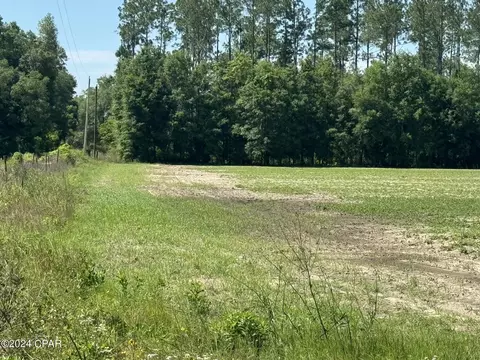 tbd Wolf Pond Rd, Bascom, FL 32423 photo 10