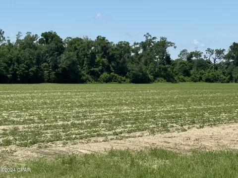 tbd Wolf Pond Rd, Bascom, FL 32423 photo 3