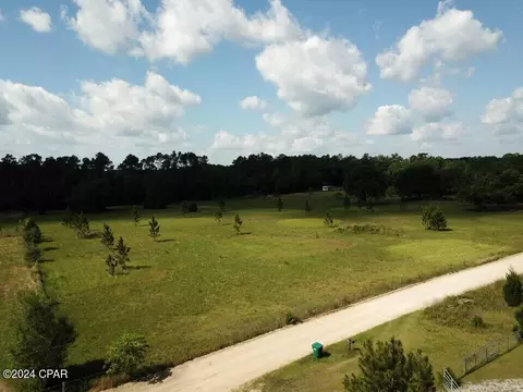 tbd Bollinger Rd, Vernon, FL 32462 photo 24