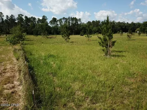 tbd Bollinger Rd, Vernon, FL 32462 photo 26