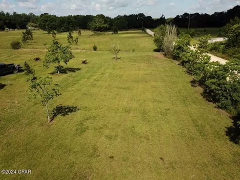 tbd Bollinger Rd, Vernon, FL 32462 photo 4