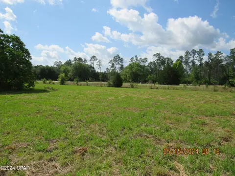tbd Bollinger Rd, Vernon, FL 32462 photo 20
