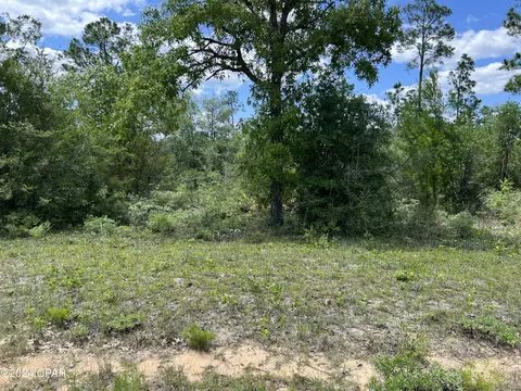 lot6 Cleveland Dr, Alford, FL 32420