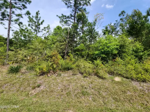 Nn Center Lake Road, Altha, FL 32421