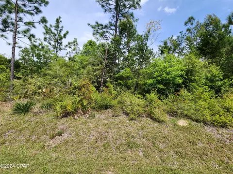 Nn Center Lake Road, Altha, FL 32421