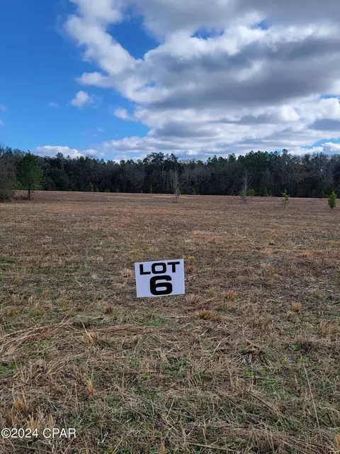 Lots 6-8 Creek Rd, Bonifay, FL 32425