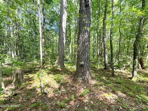 00 Gillman Rd, Westville, FL 32464