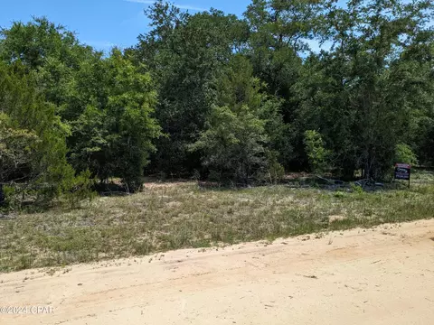 0 Hickory Nut Dr, Marianna, FL 32448
