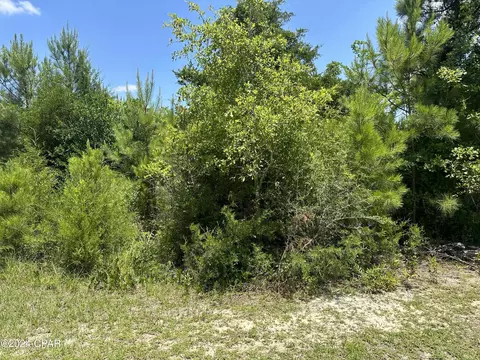 2284 Quail Dr, Marianna, FL 32448