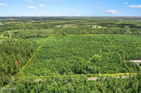 Nnn Reddick Mill Road, Graceville, FL 32440