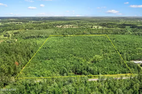 Nnn Reddick Mill Road, Graceville, FL 32440