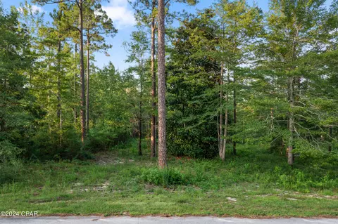 1174 Pine Bluff Dr, Chipley, FL 32428 photo 4