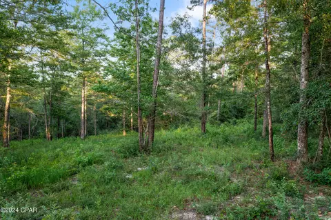 1174 Pine Bluff Dr, Chipley, FL 32428 photo 7