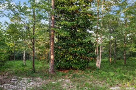 1174 Pine Bluff Dr, Chipley, FL 32428 photo 6