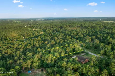 1174 Pine Bluff Dr, Chipley, FL 32428 photo 19