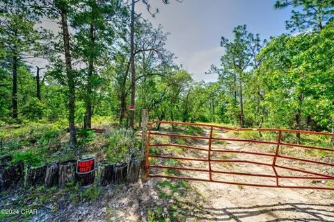 4309 Pinto Ln, Chipley, FL 32428 photo 32