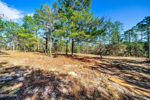 4309 Pinto Ln, Chipley, FL 32428 photo 34