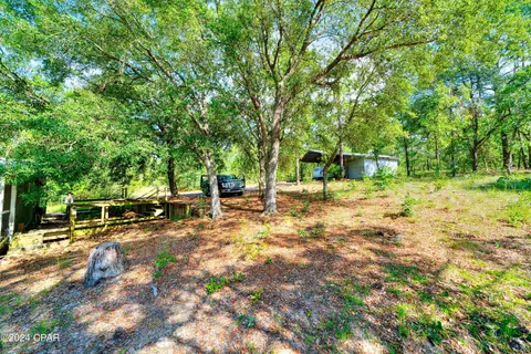 4309 Pinto Ln, Chipley, FL 32428 photo 29