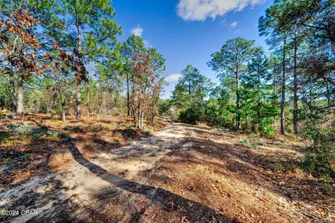 4309 Pinto Ln, Chipley, FL 32428 photo 41