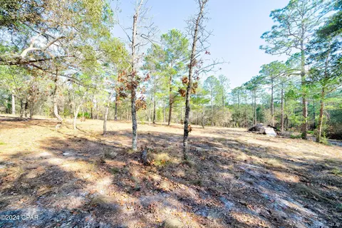 4309 Pinto Ln, Chipley, FL 32428 photo 33