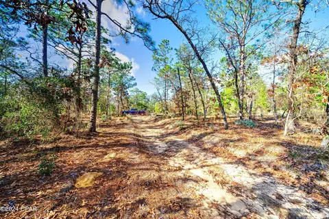 4309 Pinto Ln, Chipley, FL 32428 photo 35