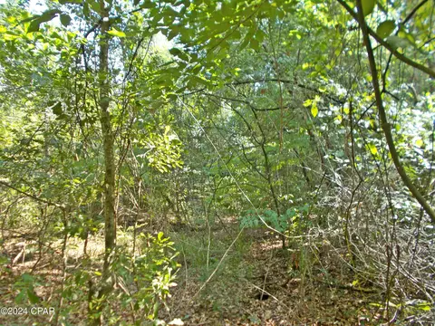 Oo Mingo Lane, Cottondale, FL 32431