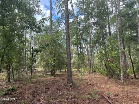 000 Tempest Ct, Chipley, FL 32428 photo 9